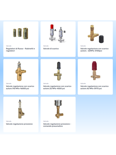 Scegli la qualità dei nostri prodotti e ottimizza il tuo impianto con le migliori valvole per alta pressione sul mercato